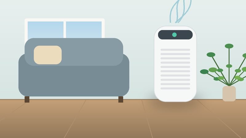 Best Air Purifiers for Apartments (2026)