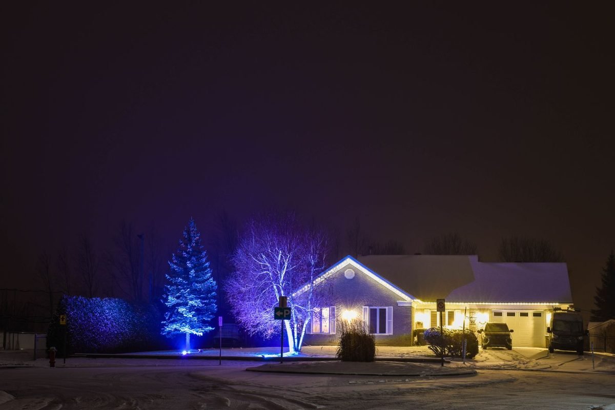 House exterior at night with evergreen trees wrapped in blue and white outdoor Christmas lights (representative photo, not the exact product)