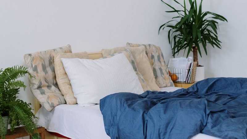 Cozy bedroom with patterned pillows, a blue duvet, and leafy potted plants